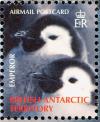 Colnect-4568-913-Emperor-Penguin-Aptenodytes-forsteri.jpg