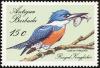 Colnect-5174-580-Ringed-Kingfisher-Ceryle-torquata.jpg