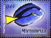 Colnect-5727-197-Regal-tang-Paracanthurus-hepatus.jpg