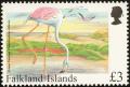 Colnect-1674-609-Chilean-Flamingo-Phoenicopterus-chilensis.jpg