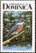 Colnect-1788-018-Ringed-Kingfisher-Ceryle-torquata.jpg