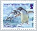 Colnect-2935-412-Adelie-Penguin-Pygoscelis-adeliae.jpg