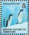 Colnect-4568-940-Adelie-Penguin-Pygoscelis-adeliae.jpg