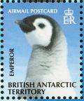 Colnect-4568-941-Emperor-Penguin-Aptenodytes-forsteri.jpg