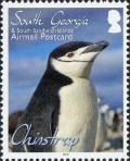 Colnect-4571-641-Chinstrap-Penguin-Pygoscelis-antarcticus.jpg