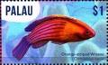 Colnect-4856-907-Orange-striped-wrasse.jpg