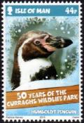 Colnect-5288-510-Humboldt-Penguin-Spheniscus-humboldti.jpg