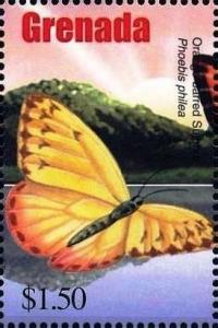 Colnect-4592-798-Orange-barred-sulphur.jpg