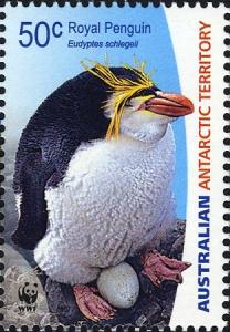 Colnect-4267-557-Royal-Penguin-Eudyptes-schlegeli.jpg