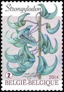 Colnect-1958-041-Strongylodon---Jade-Vine.jpg