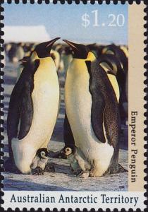 Colnect-4714-584-Emperor-Penguin-Aptenodytes-forsteri.jpg