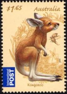 Colnect-6270-488-Red-Kangaroo-Macropus-rufus.jpg