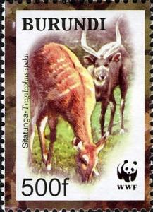 Colnect-1592-979-Sitatunga-Tragelaphus-spekii.jpg