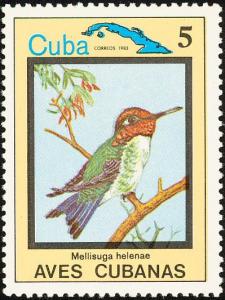 Colnect-3564-316-Bee-Hummingbird-Mellisuga-helenae.jpg