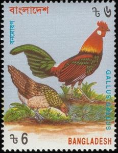 Colnect-1421-749-Red-Junglefowl-Gallus-gallus.jpg