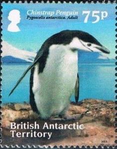 Colnect-2888-014-Chinstrap-Penguin-Pygoscelis-antarcticus.jpg