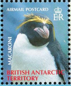 Colnect-4568-938-Macaroni-Penguin-Eudyptes-chrysolophus.jpg