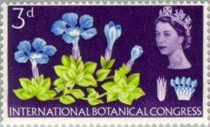 Colnect-121-611-Spring-Gentian-phosphor.jpg