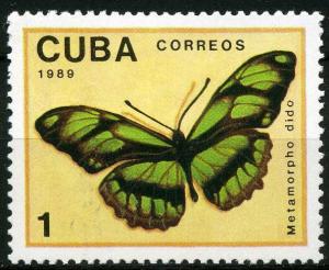 Colnect-1393-914-Dido-Longwing-Metamorpho-dido.jpg