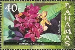 Colnect-1599-761-Frangipani-Plumeria-Sp.jpg