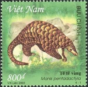 Colnect-1621-002-Chinese-Pangolin-Manis-pentadactyla.jpg