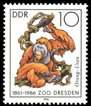 Colnect-1982-698-Sumatran-Orangutan-Pongo-pygmaeus-abeli.jpg