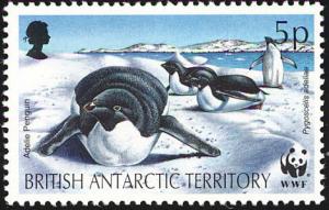 Colnect-2159-993-Adelie-Penguin-Pygoscelis-adeliae.jpg