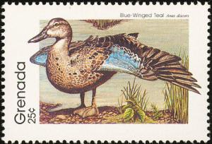 Colnect-2172-413-Blue-winged-Teal-Anas-discors.jpg