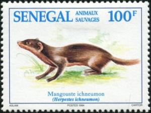 Colnect-2189-090-Egyptian-Mongoose-Herpestes-ichneumon.jpg