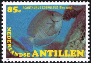 Colnect-2206-522-Blue-Tang-Acanthurus-coeruleus.jpg