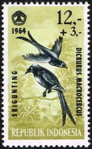 Colnect-2273-063-Black-Drongo-Dicrurus-macrocercus-.jpg