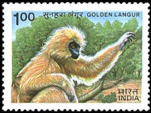 Colnect-2524-305-Golden-Langur-Trachypithecus-geei.jpg