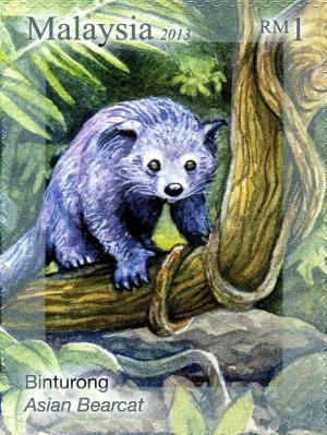 Colnect-2568-035-Binturong-Arctictis-binturong.jpg