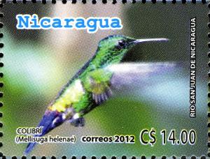 Colnect-3063-620-Bee-Hummingbird-Mellisuga-helenae.jpg