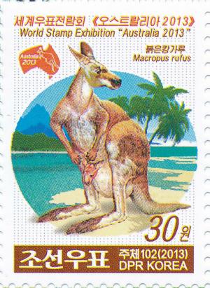 Colnect-3266-428-Red-Kangaroo-Macropus-rufus.jpg