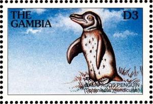 Colnect-3505-627-Galapagos-Penguin-Spheniscus-mendiculus.jpg