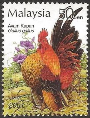 Colnect-4156-112-Red-Junglefowl-Gallus-gallus.jpg