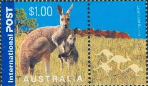 Colnect-510-721-Red-Kangaroo-Macropus-rufus.jpg