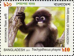 Colnect-5122-348-Phayre-s-Langur-Trachypithecus-phayrei.jpg