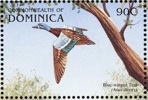 Colnect-5250-511-Blue-winged-Teal%C2%A0Anas-discors.jpg