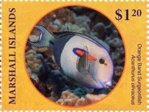 Colnect-6219-105-Orangeband-surgeonfish.jpg