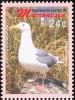 Colnect-1620-629-Glaucous-winged-Gull-Larus-glaucescens.jpg