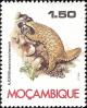 Colnect-1115-433-Ground-Pangolin-Smutsia-temminckii.jpg