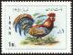 Colnect-1460-709-Red-Junglefowl-Gallus-gallus.jpg