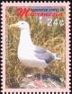 Colnect-1620-629-Glaucous-winged-Gull-Larus-glaucescens.jpg