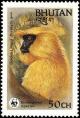 Colnect-1720-363-Golden-Langur-Trachypithecus-geei.jpg