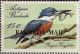 Colnect-2098-064-Ringed-Kingfisher-Ceryle-torquata.jpg