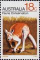 Colnect-3509-608-Red-Kangaroo-Macropus-rufus.jpg