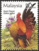 Colnect-4156-112-Red-Junglefowl-Gallus-gallus.jpg