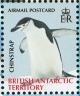 Colnect-4568-936-Chinstrap-Penguin-Pygoscelis-antarcticus.jpg